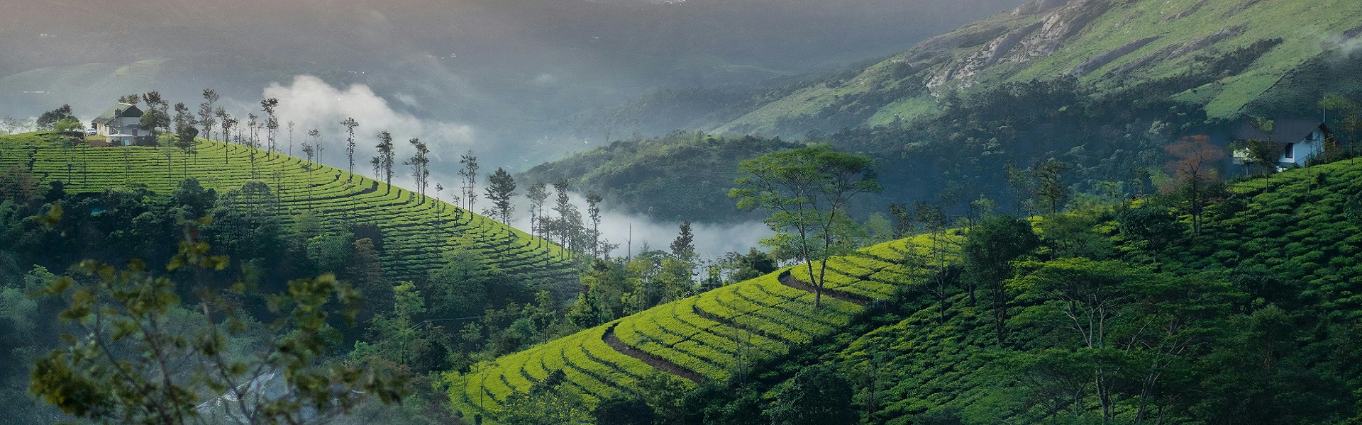 Kerala