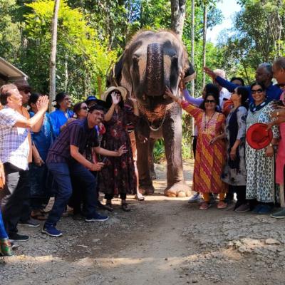 Thekkady Elephant Ride